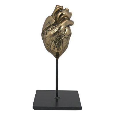 Heart, Brass and Steel