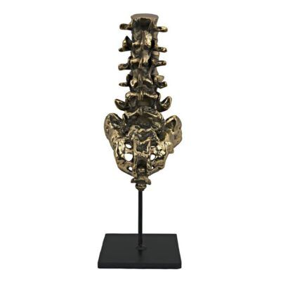 Vertebrae, Brass and Steel
